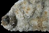 Transparent Columnar Calcite Crystal Cluster on Quartz - China #164011-4